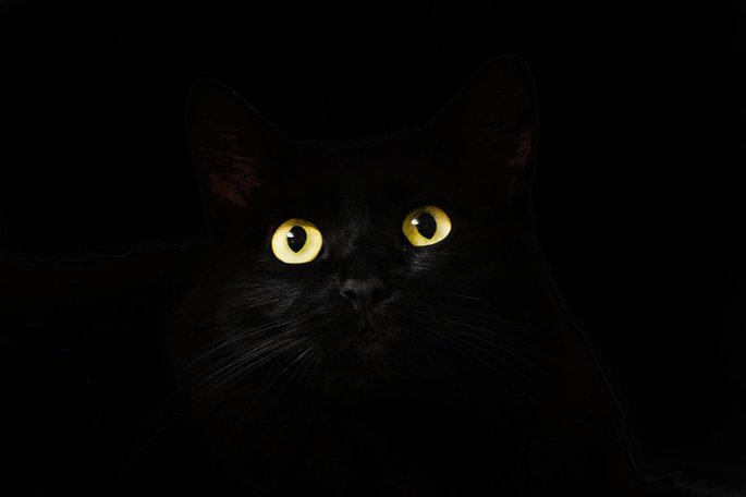 ojos de gato