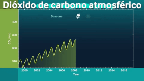 Cambio climatico dioxido de carbono tendencia