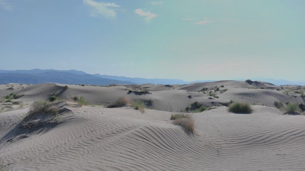 Dunas costeras
