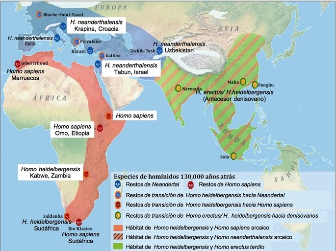 evolucion humana Africa