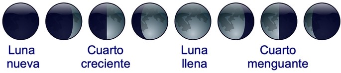 las fases de la luna