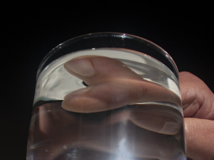 reflexion interna de la luz en el vaso de agua