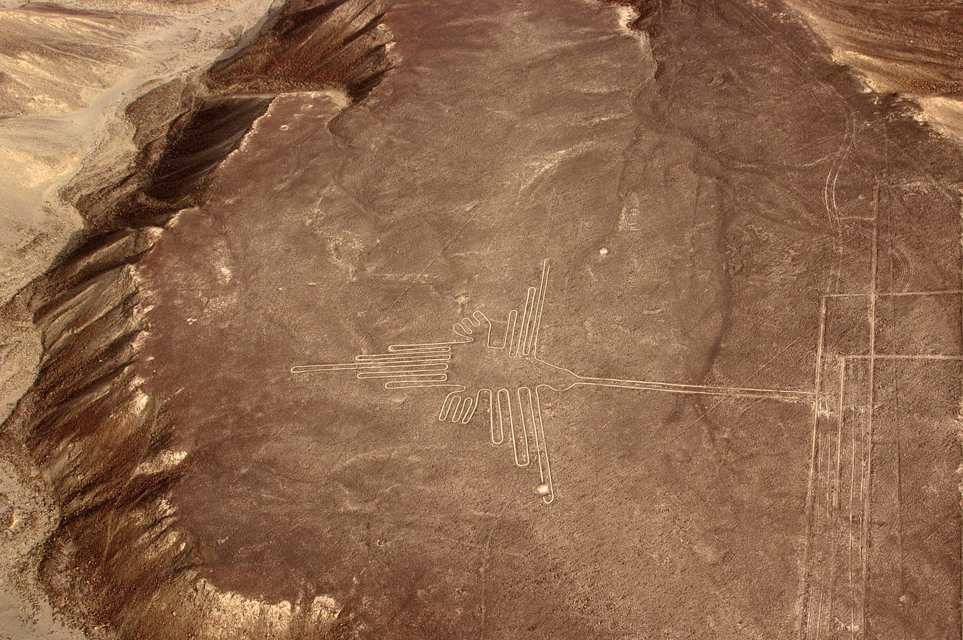 Línea de nazca