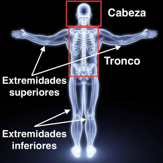 Partes del cuerpo humano con nombres