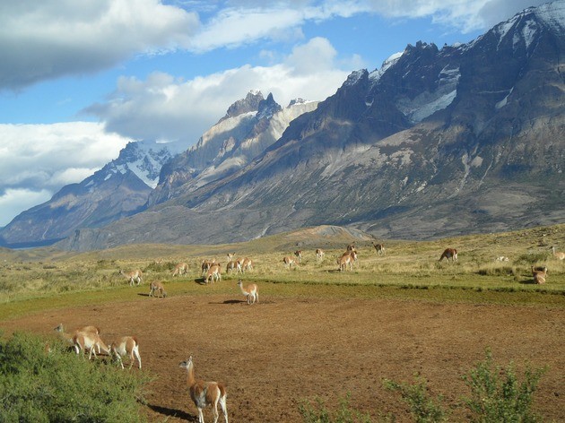 Patagonia