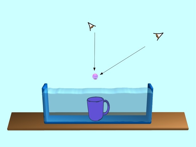 Experimento de refraccion: la canica dentro de la taza en la pecera