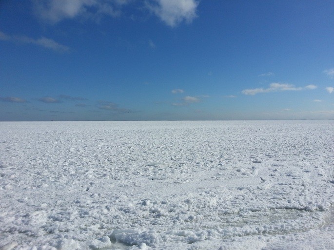 tundra en tipos de ecosistemas